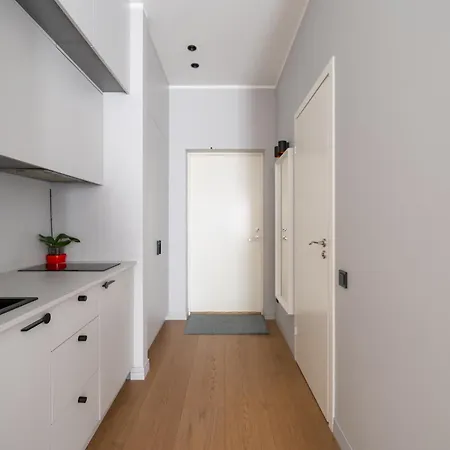 Oldtown In Modern House 公寓 里加