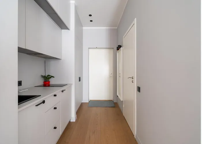 Oldtown In Modern House Dzīvoklis Riga